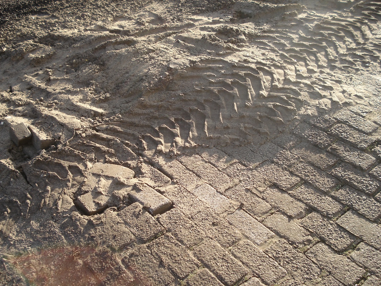 Spoor