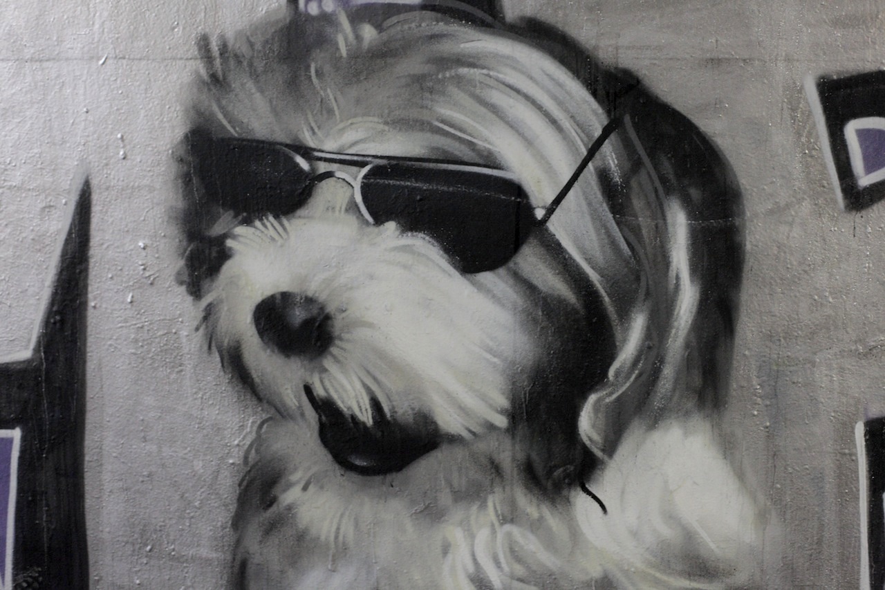 Samson