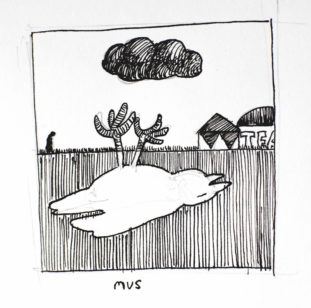 Mus