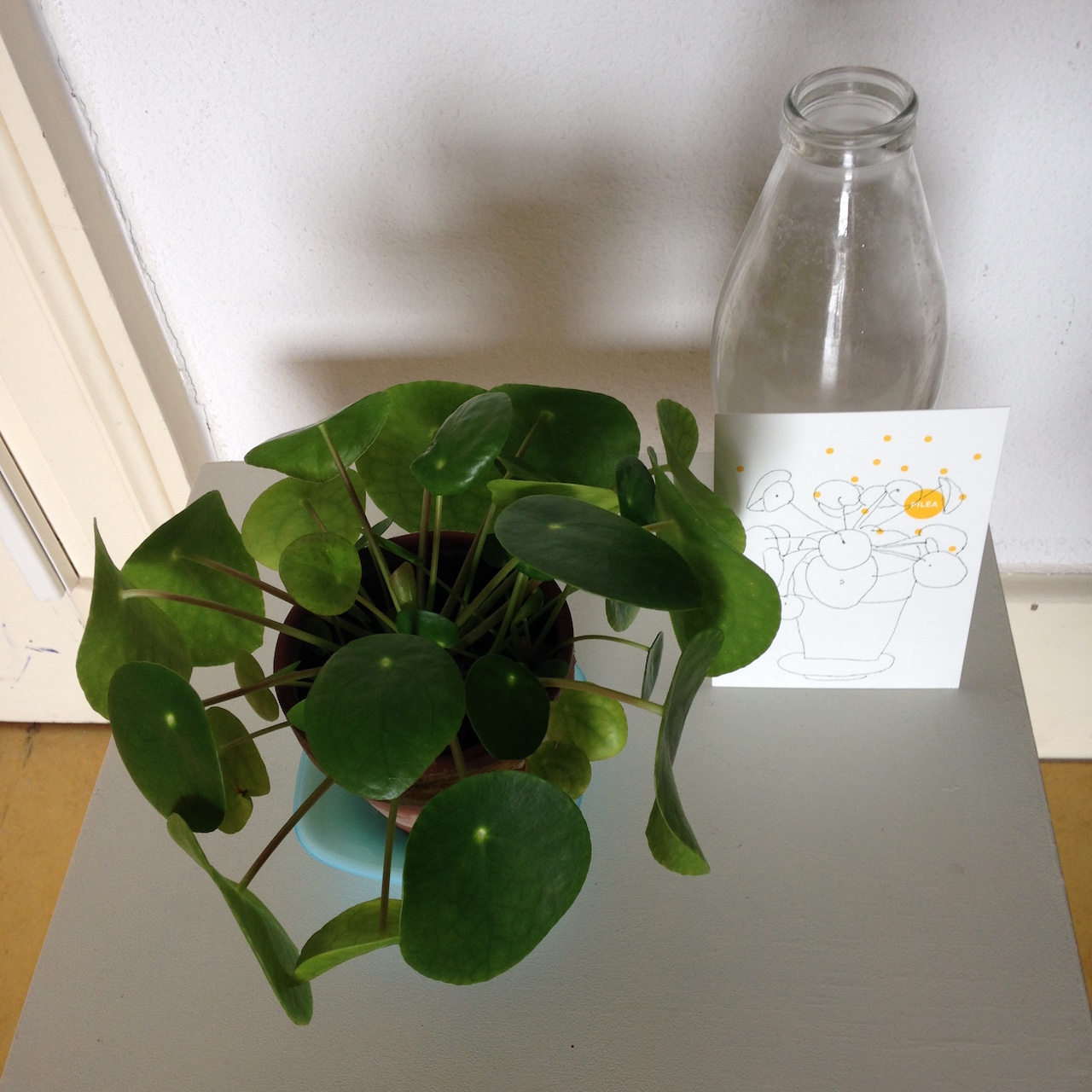 Plantje