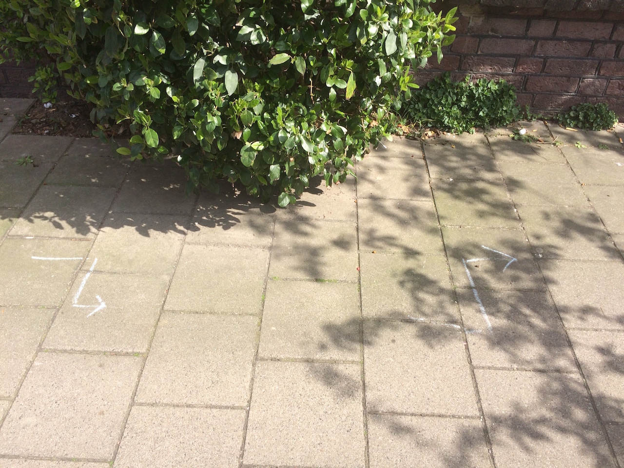 Ontwijk de struik