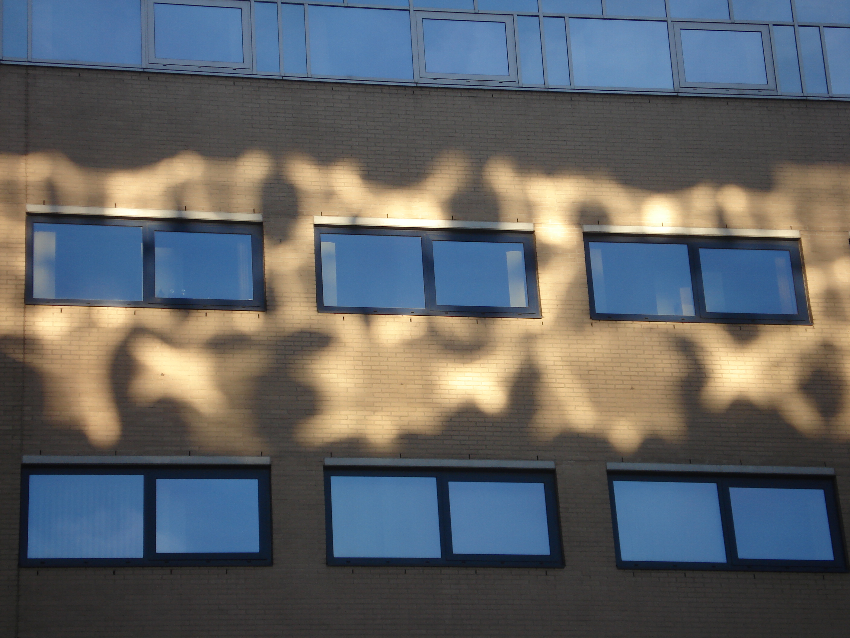 Reflectie