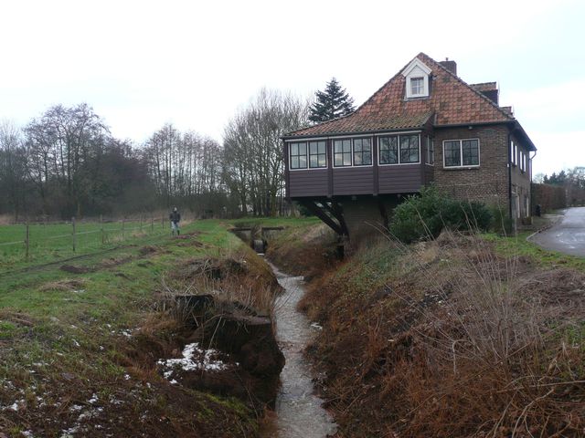 Springbeek